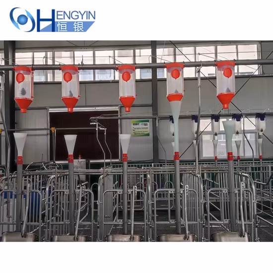 Factory Direct Sale Galvanized Gestation Pen Pig Gestation Crate